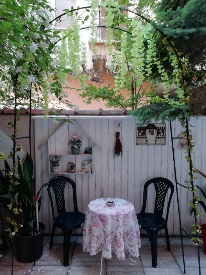 Art Guest House Orchidea Pomorie Exterior photo